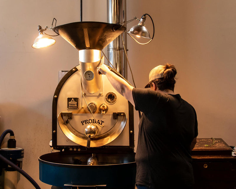 Person operating a Probat coffee roaster in a workshop setting